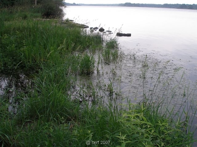 2007 05 Séjour en Brenne 034